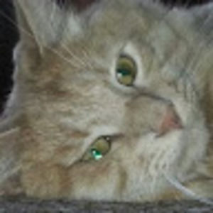 Meet your Posher, Judie